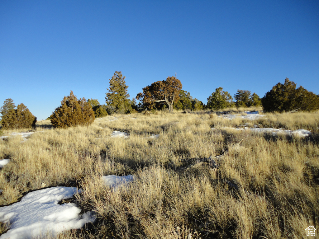 View of local wilderness featuring rural landscape
