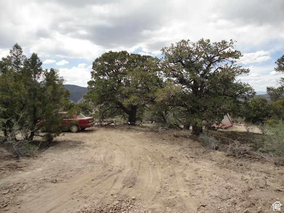View of yard featuring a mountain view