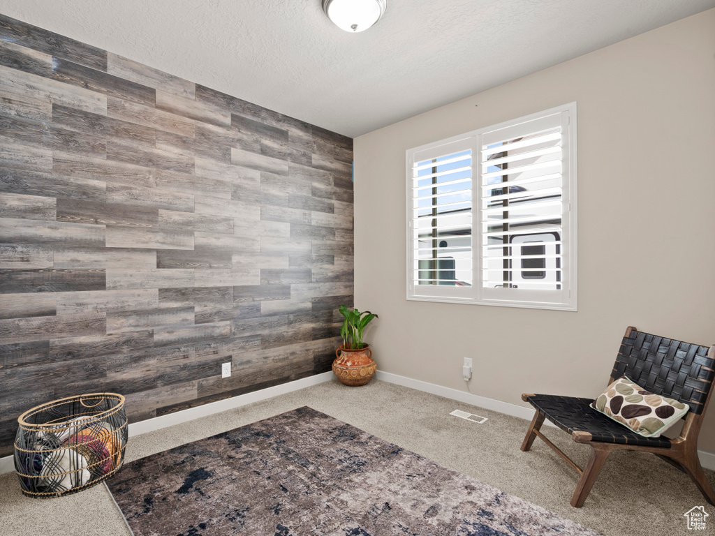 Living area featuring an accent wall, carpet, baseboards, and a textured ceiling