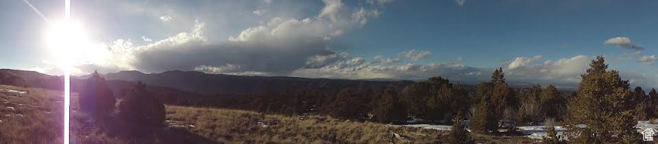 View of mountain background with a forest