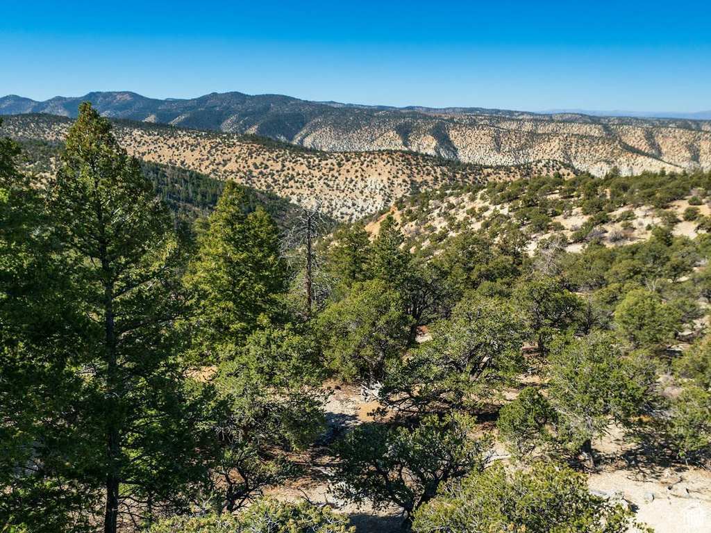View of mountain backdrop