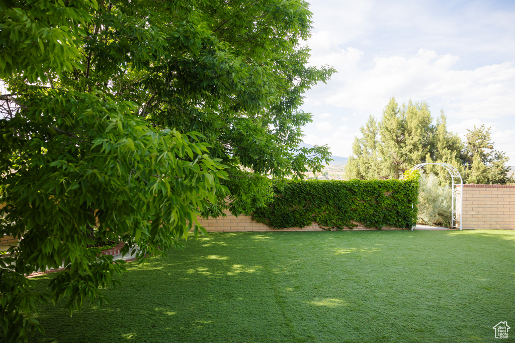 View of green lawn
