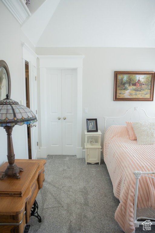 Bedroom with a closet and carpet