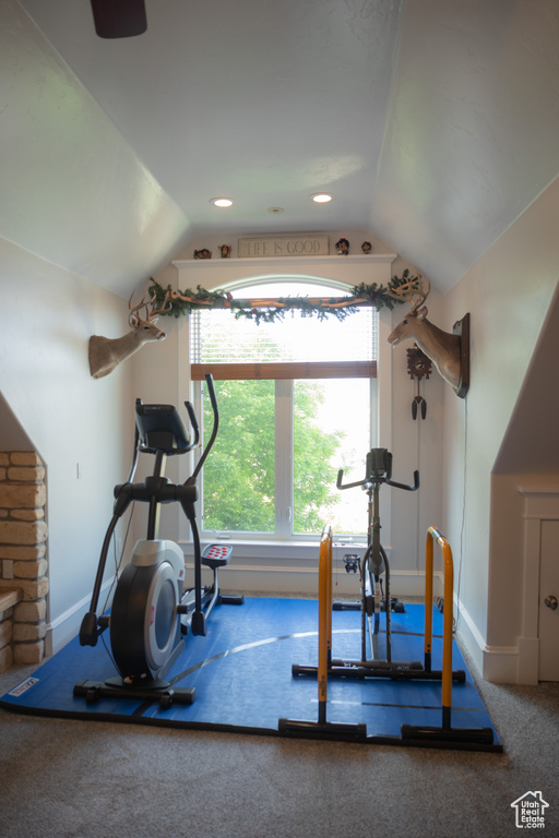 Exercise area featuring lofted ceiling, healthy amount of natural light, and baseboards