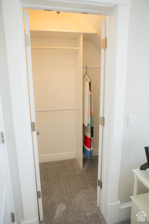 Walk in closet featuring carpet floors