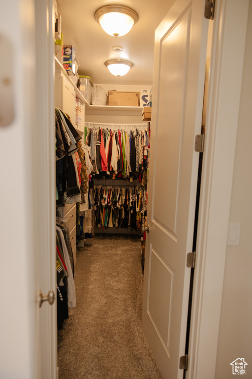 Walk in closet with dark colored carpet