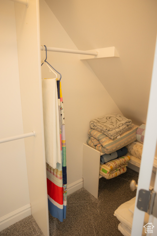 Spacious closet featuring carpet