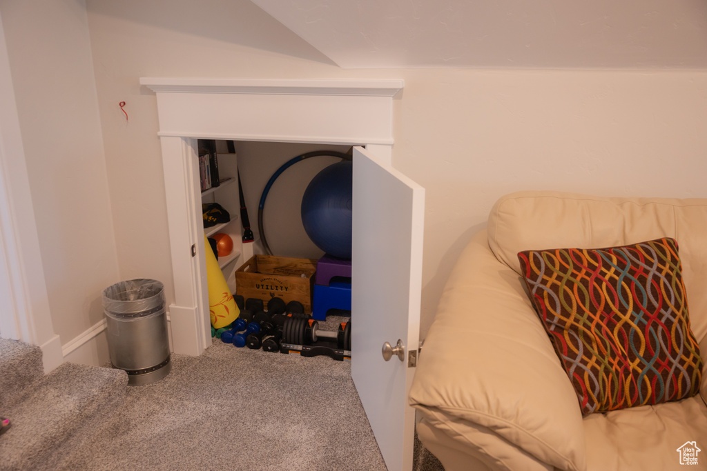 Bedroom view of carpet flooring