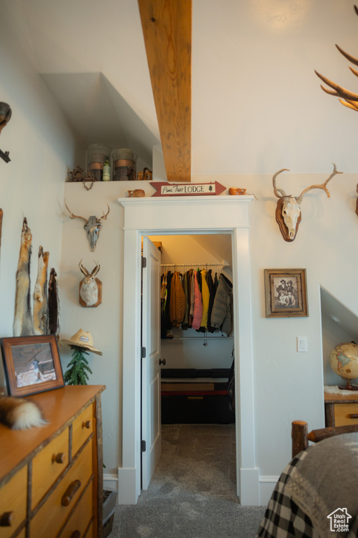 Bedroom with dark carpet, a walk in closet, and a closet