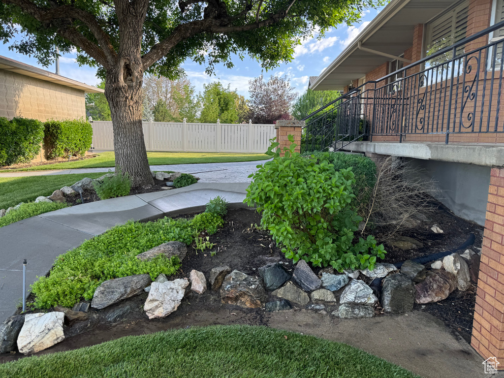 View of yard