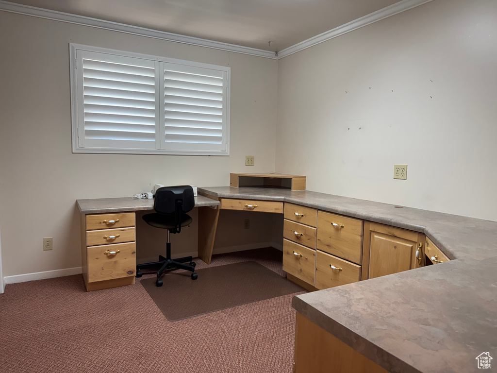 Home office featuring built in desk, carpet, crown molding, and baseboards