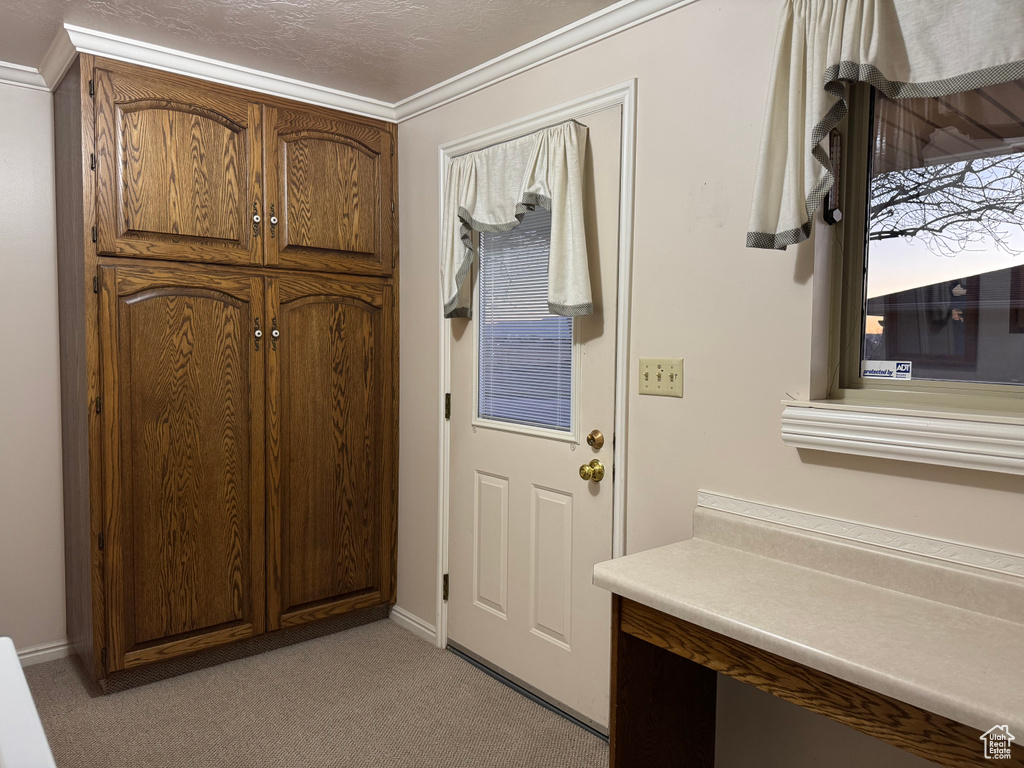 Foyer entrance featuring light carpet and baseboards