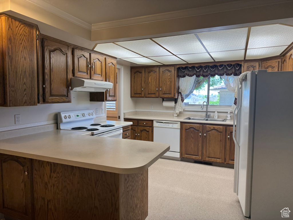 Kitchen with white appliances, a sink, under cabinet range hood, a peninsula, and light carpet