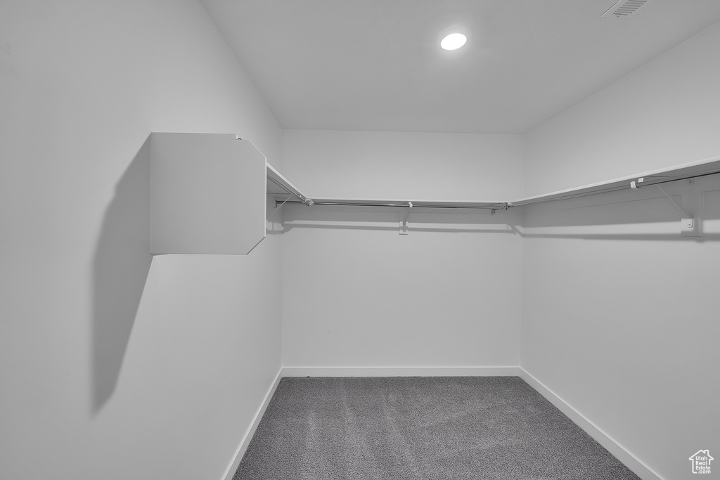 Walk in closet with carpet floors