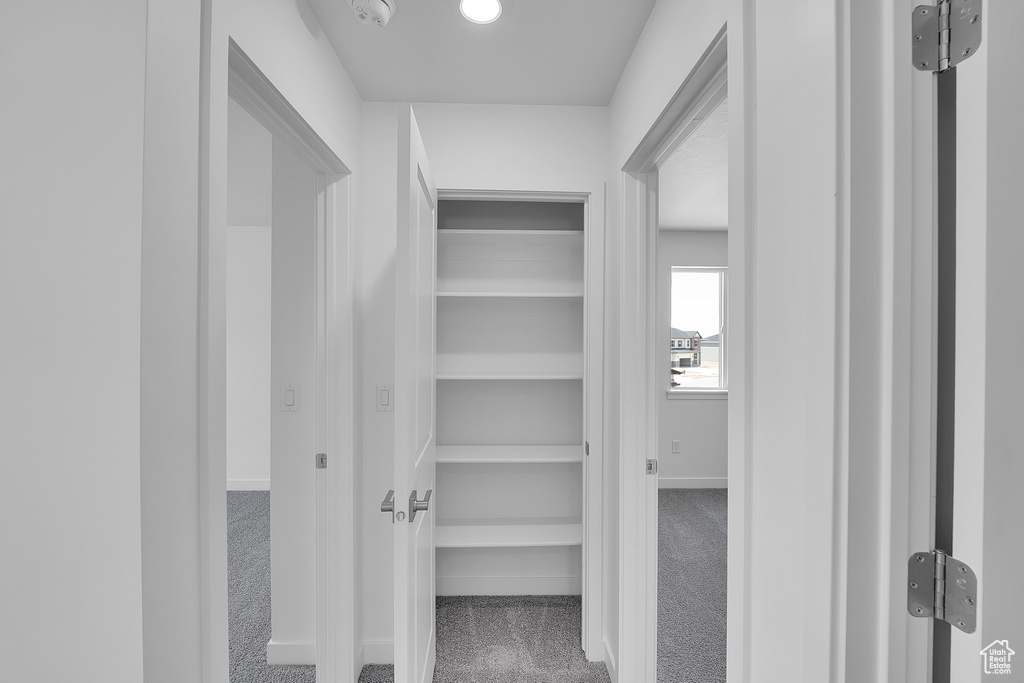 Walk in closet featuring carpet