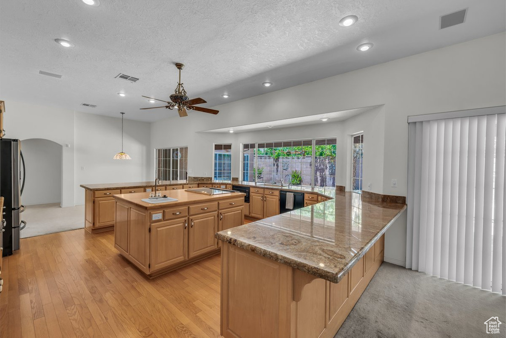 Kitchen with freestanding refrigerator, black dishwasher, a textured ceiling, ceiling fan, and a peninsula