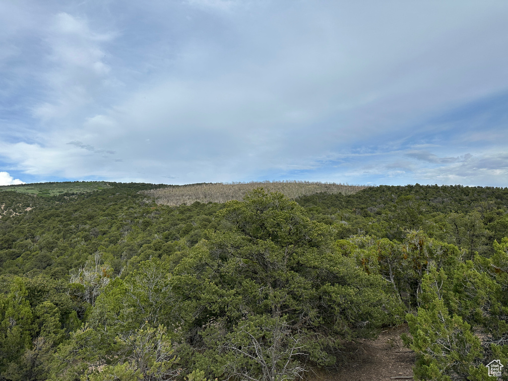View of wooded area