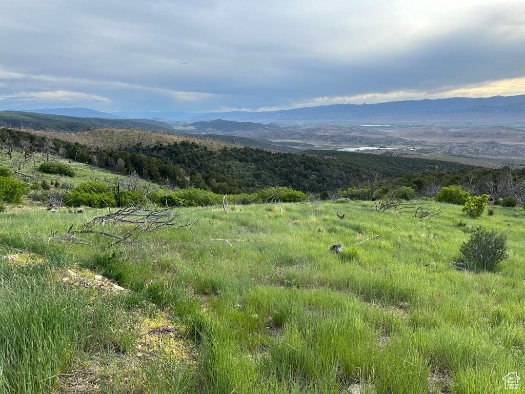 Mountain view