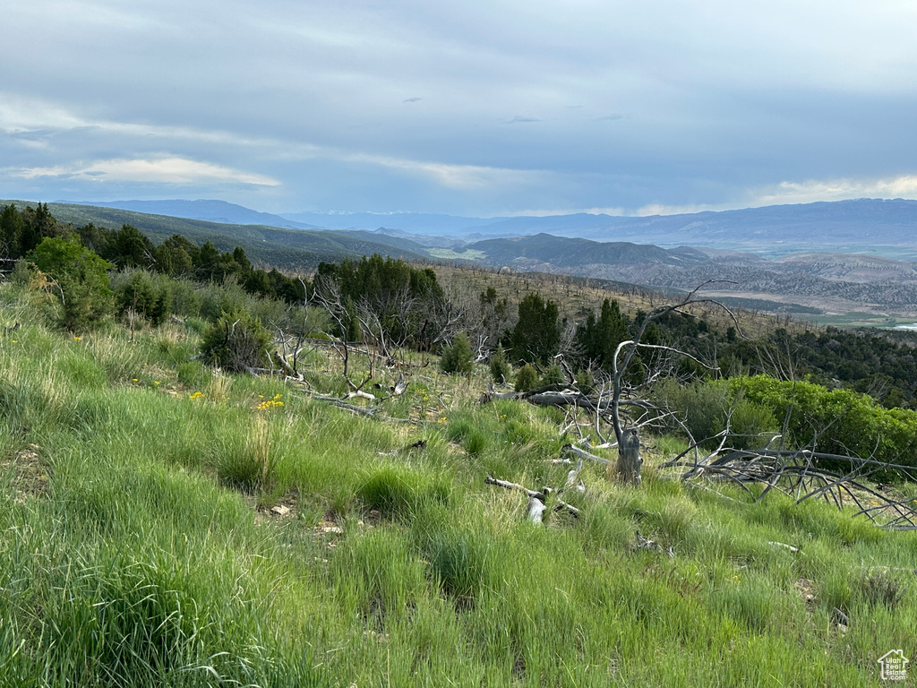 Mountain view