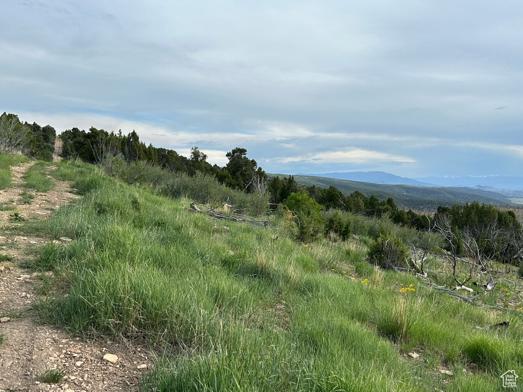 View of mountain background