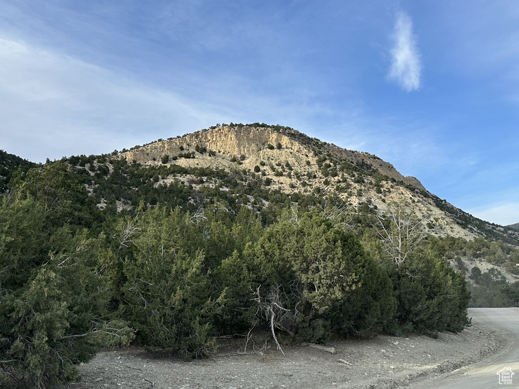 Mountain view