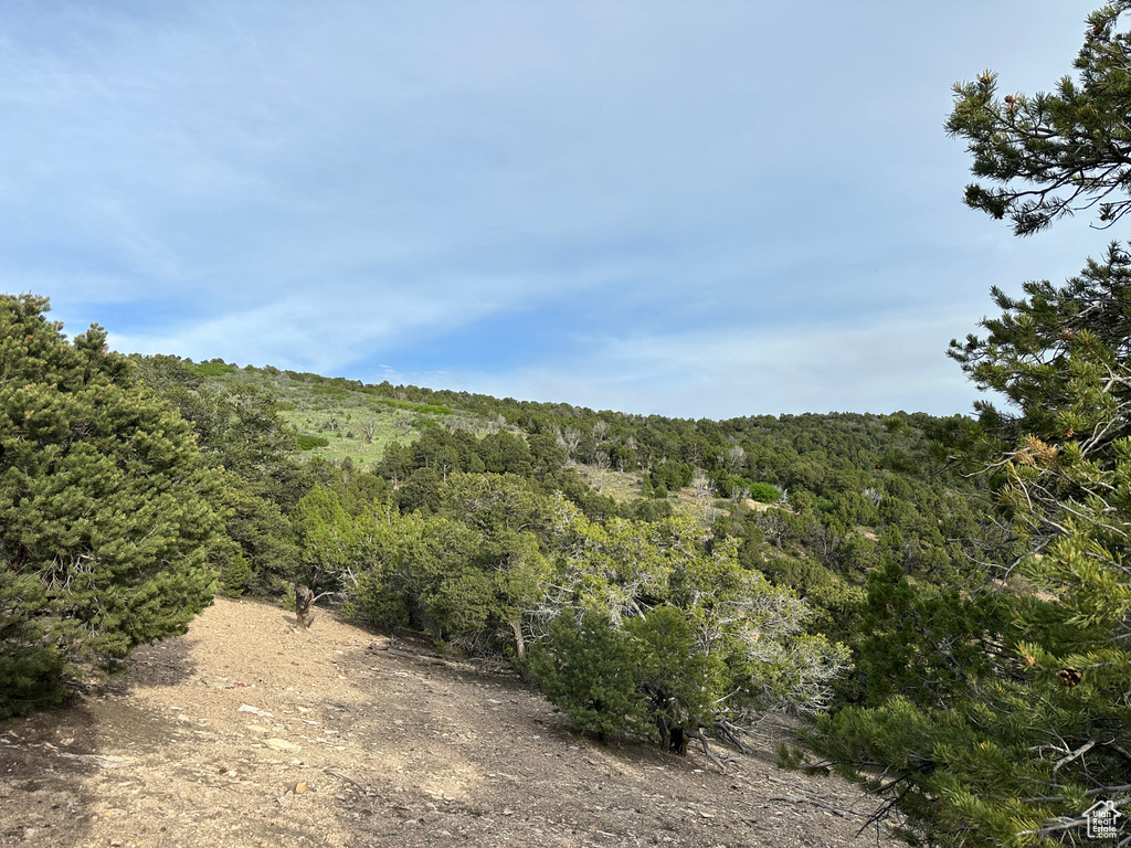 View of wooded area