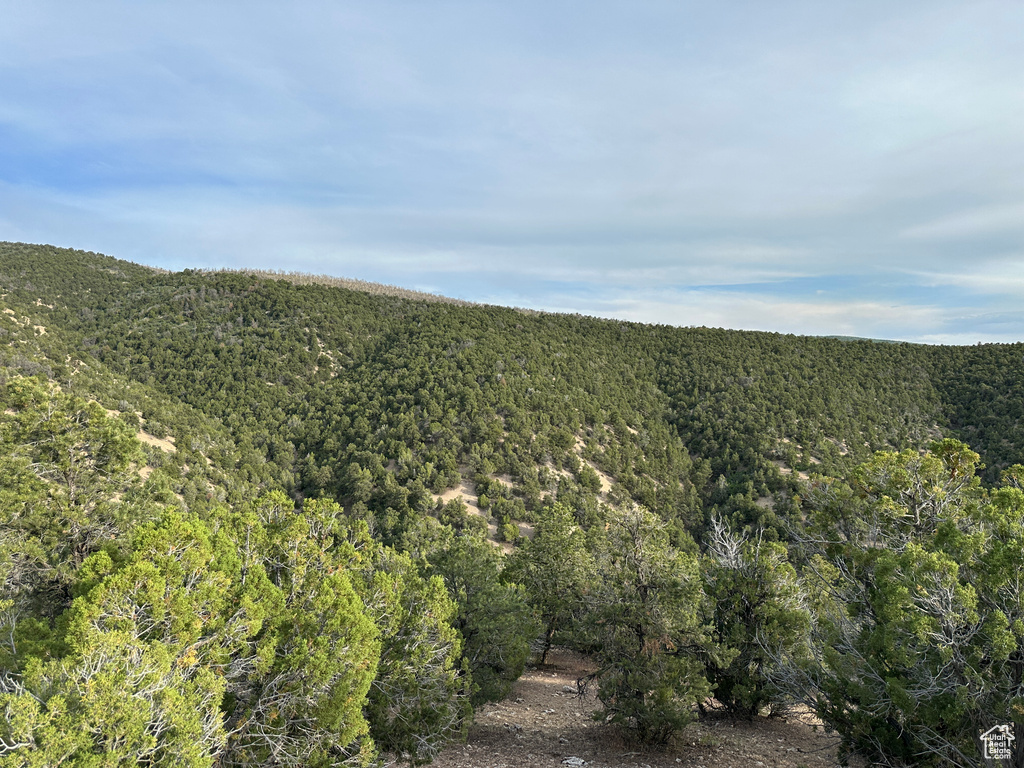 Mountain view featuring a heavily wooded area