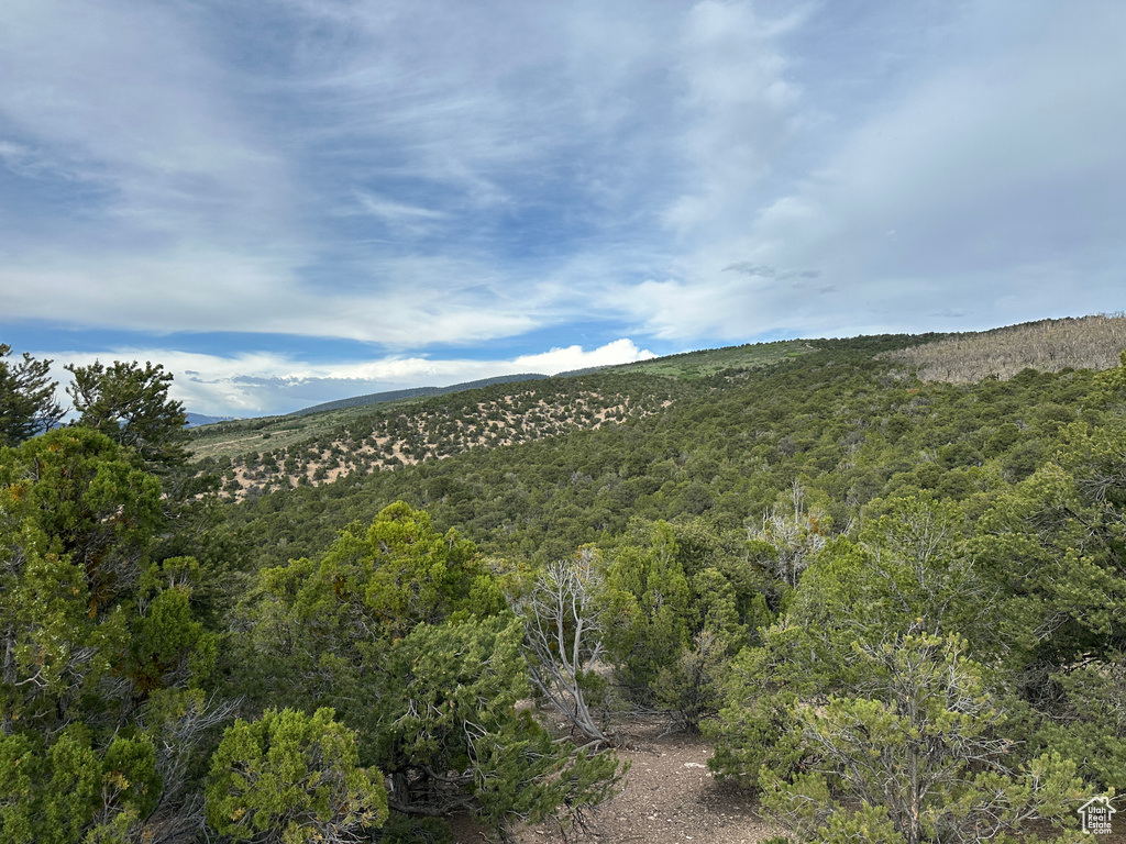 View of mountain backdrop featuring a heavily wooded area