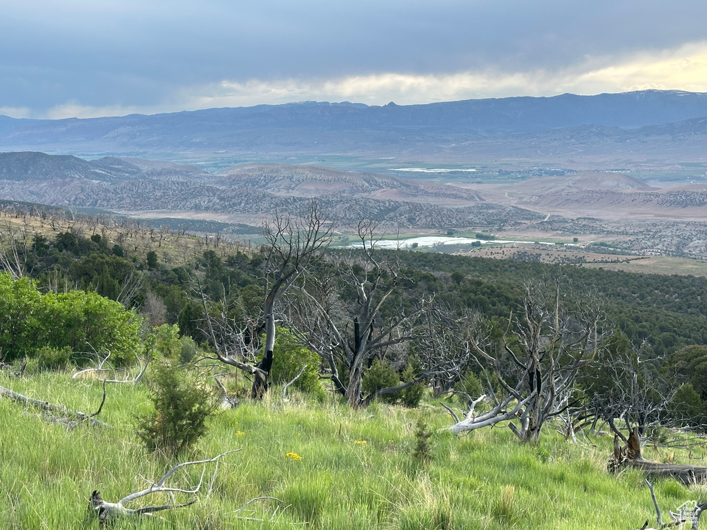 Mountain view