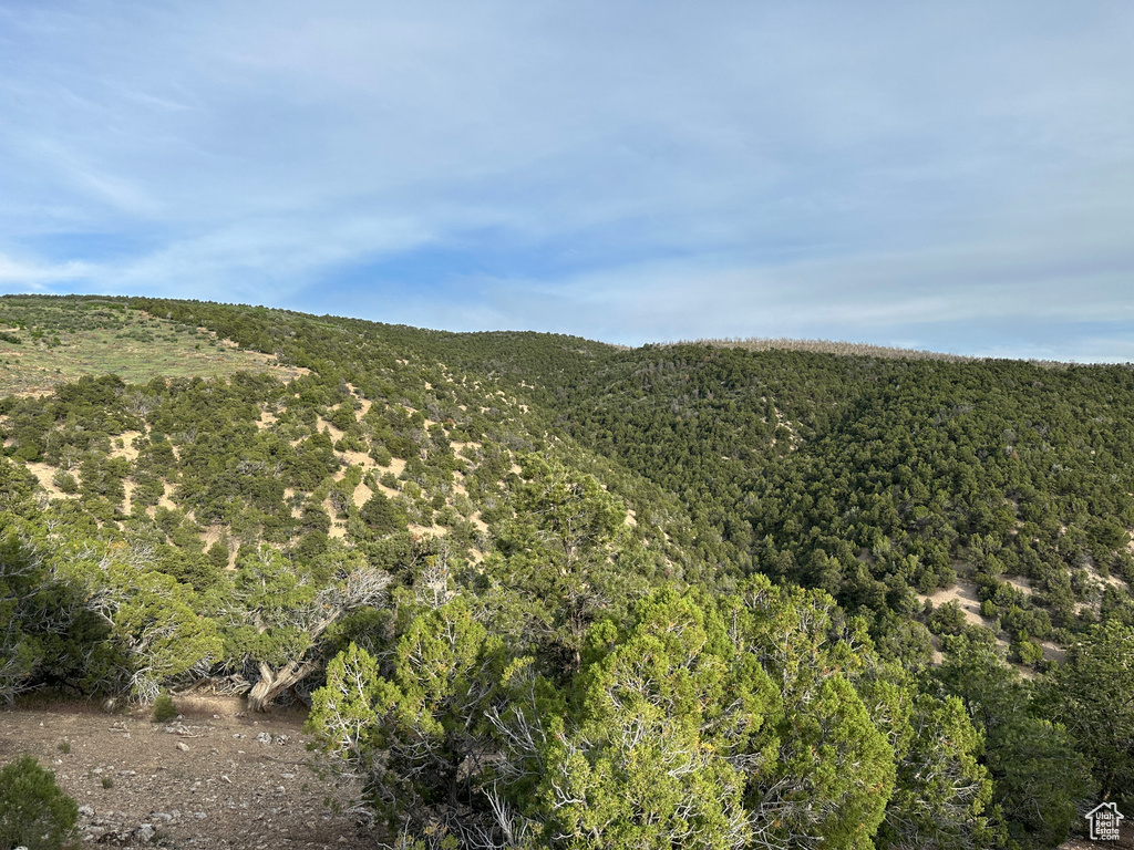 Mountain view featuring a heavily wooded area