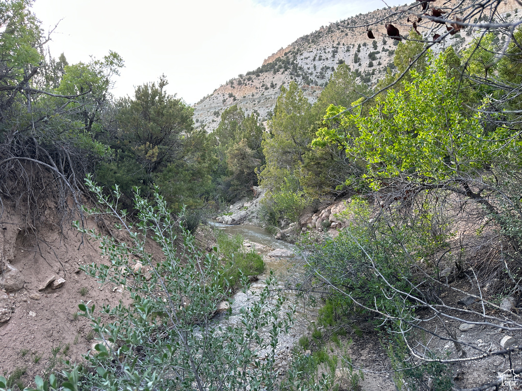 Mountain view