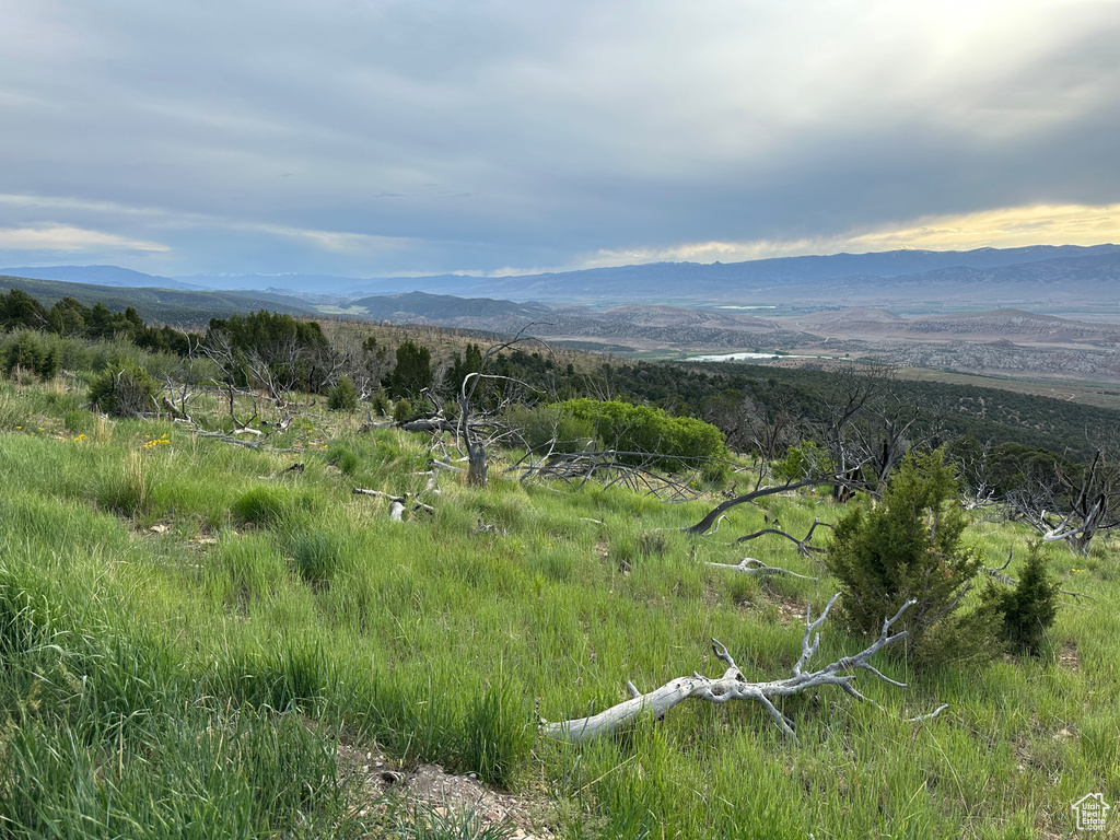 View of mountain background