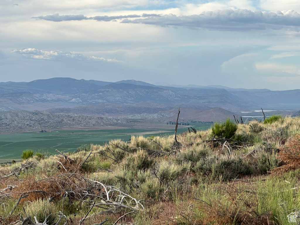 View of mountain background
