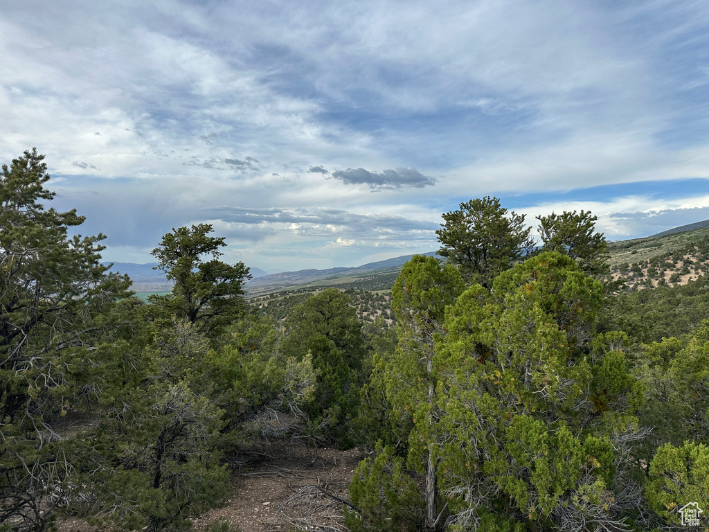 View of mountain background