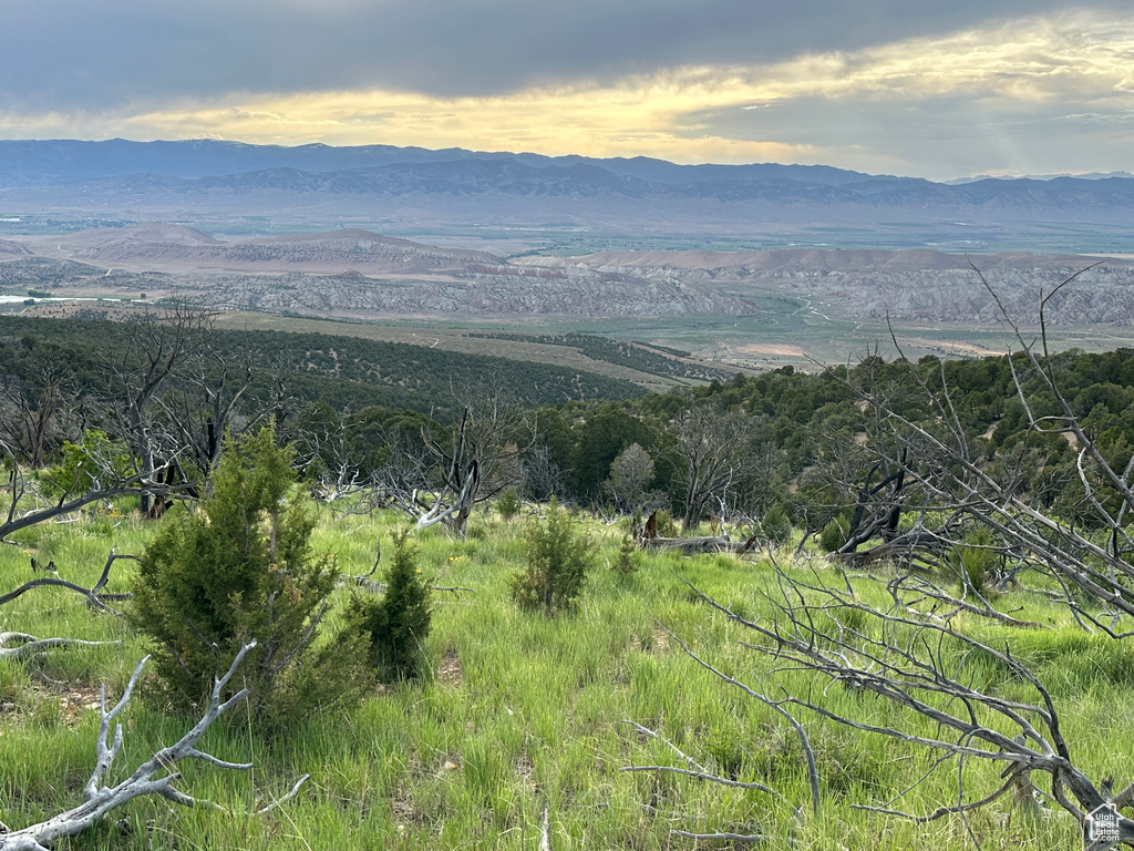 Mountain view