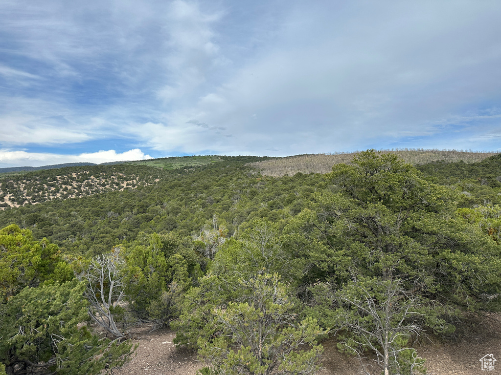 View of mountain background with a heavily wooded area