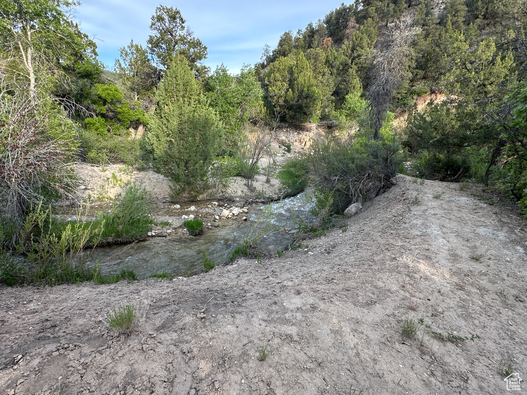 View of local wilderness