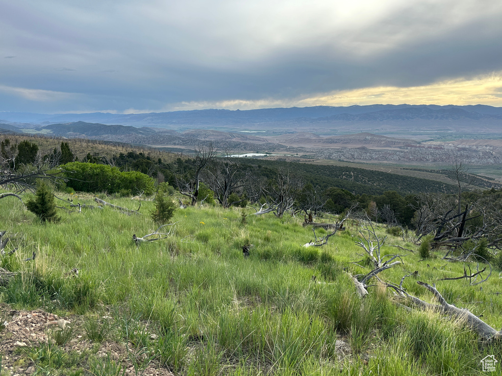 Mountain view