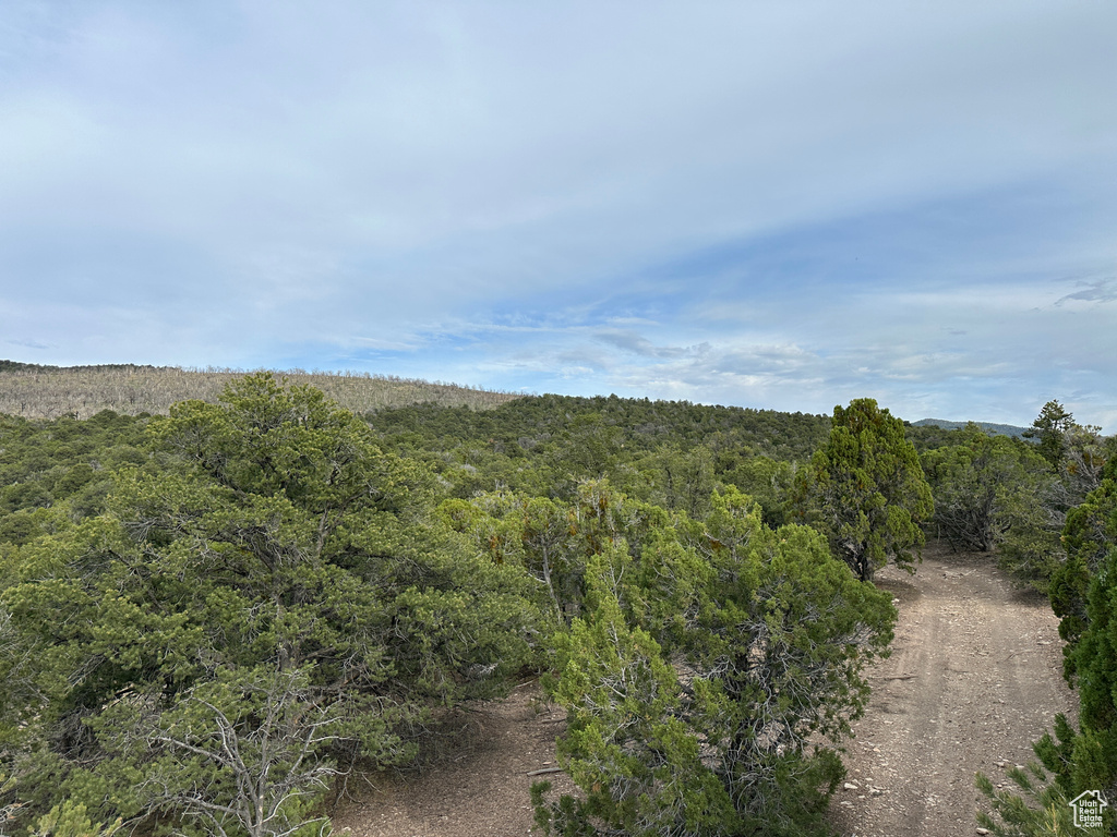 View of wooded area