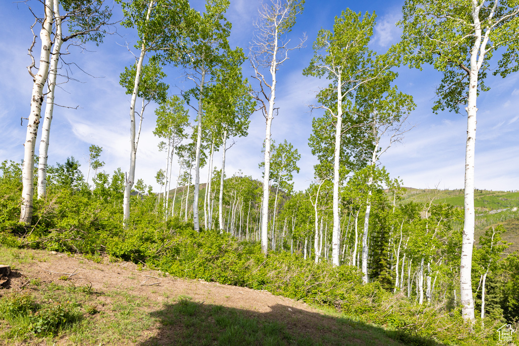 8903 MOONSHADOW CT Park City, UT 84060