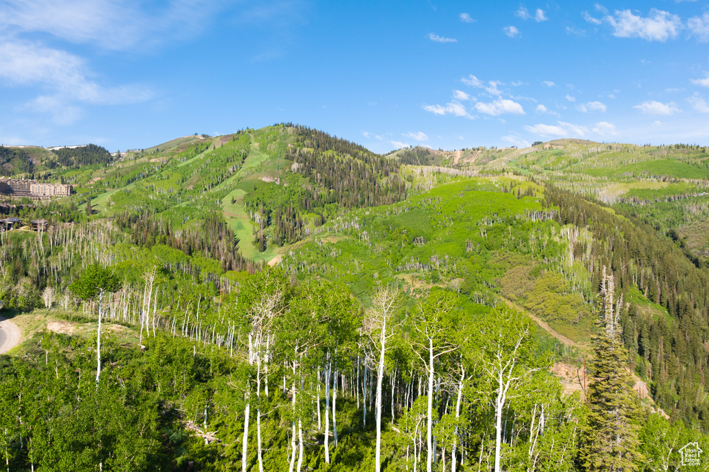 8903 MOONSHADOW CT Park City, UT 84060