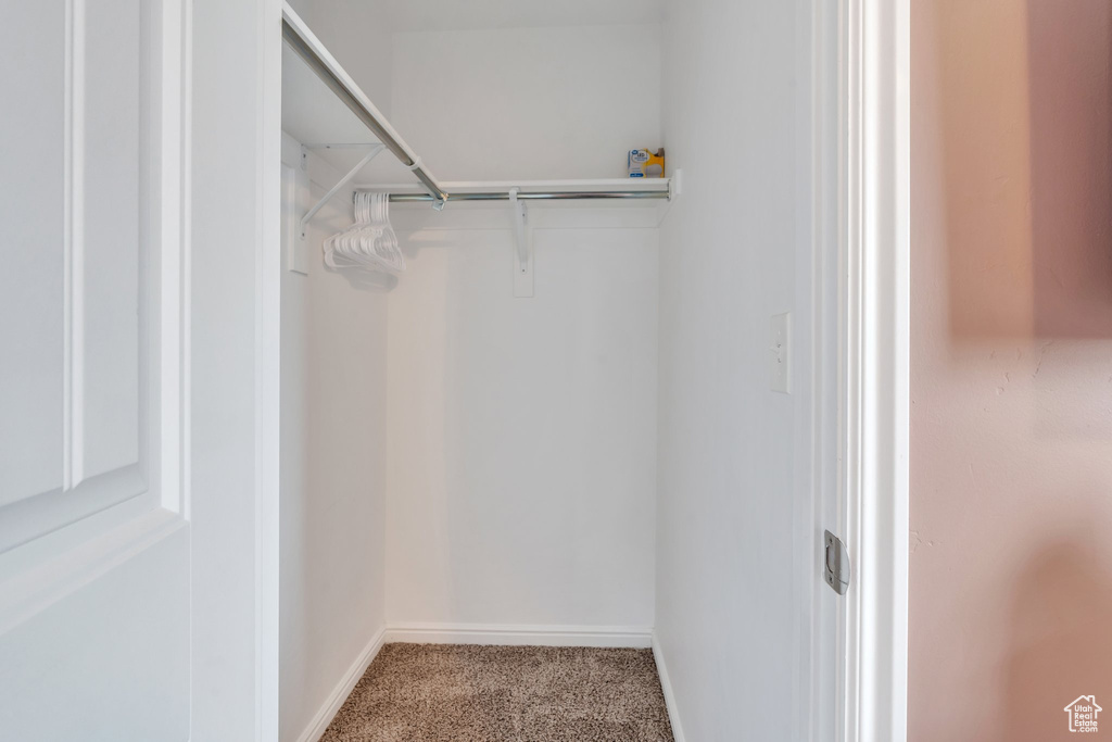 Spacious closet with carpet flooring