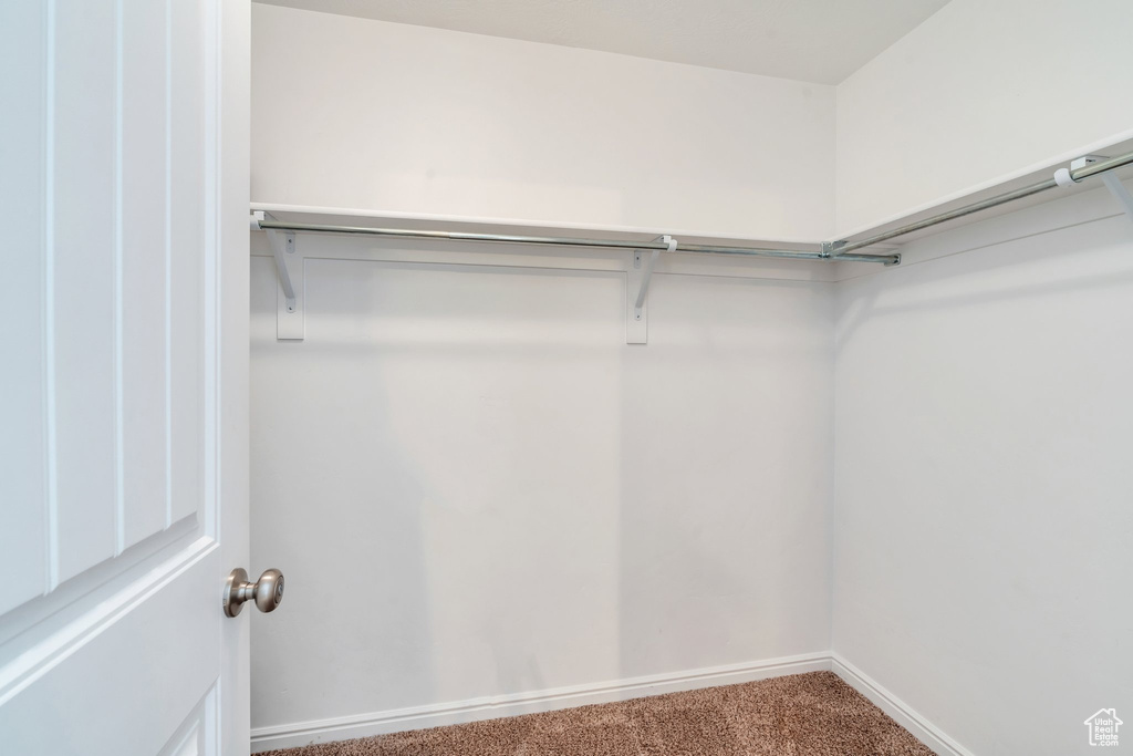 Spacious closet with carpet floors