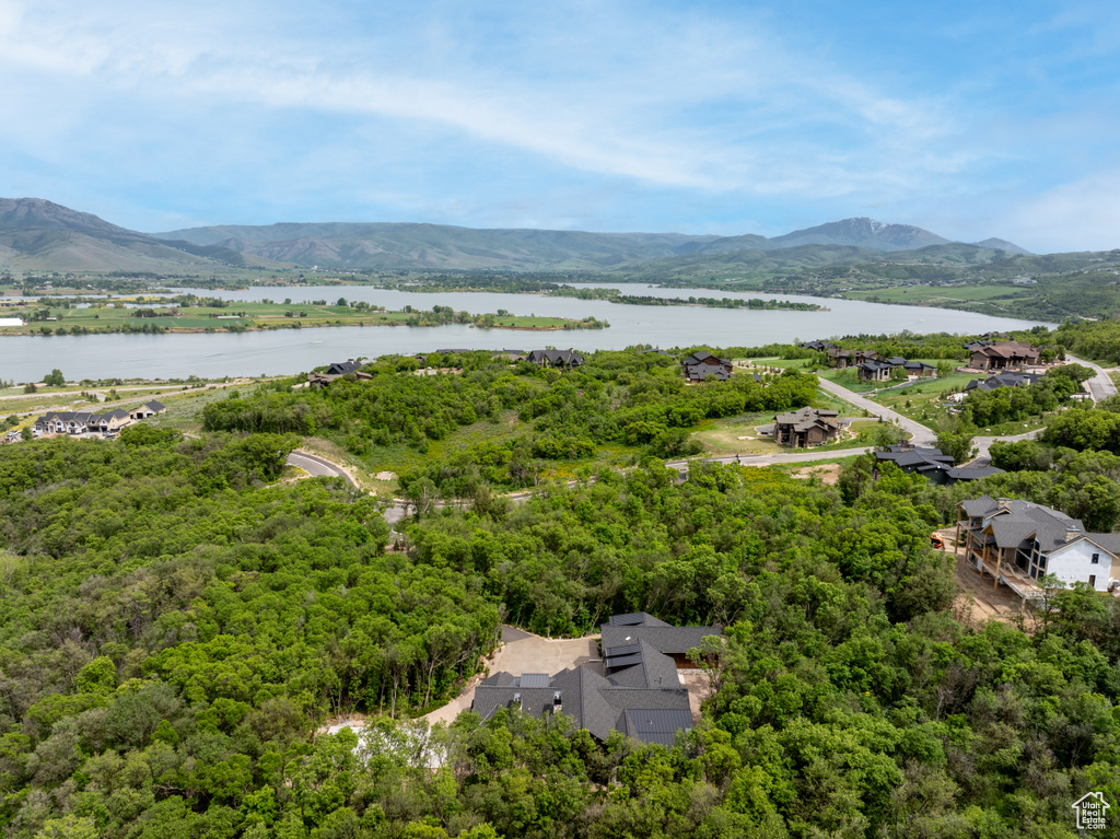 Drone / aerial view of a water and mountain view
