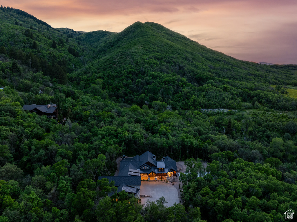 View of mountain backdrop with a heavily wooded area