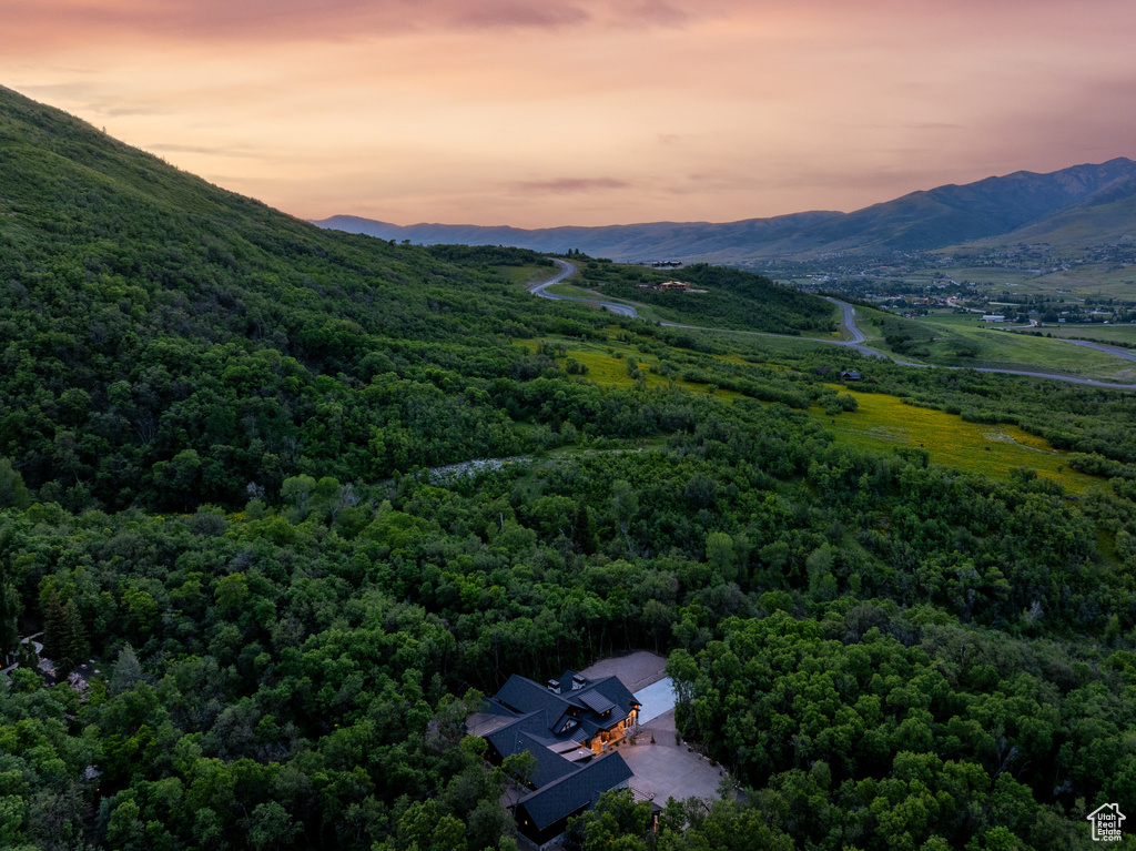 Bird's eye view of a heavily wooded area and a mountain backdrop