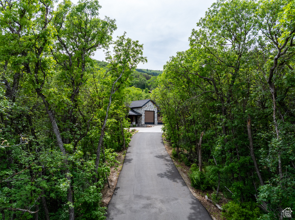 View of front of property featuring stone siding, a view of trees, and driveway
