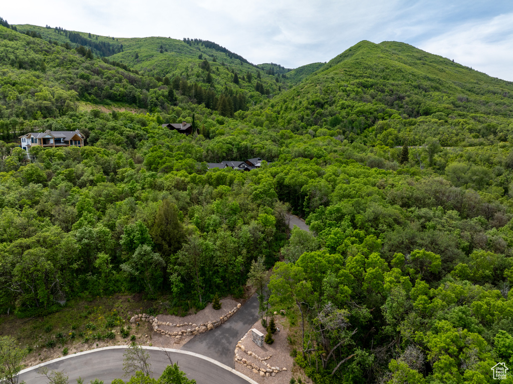 View of mountain backdrop with a forest