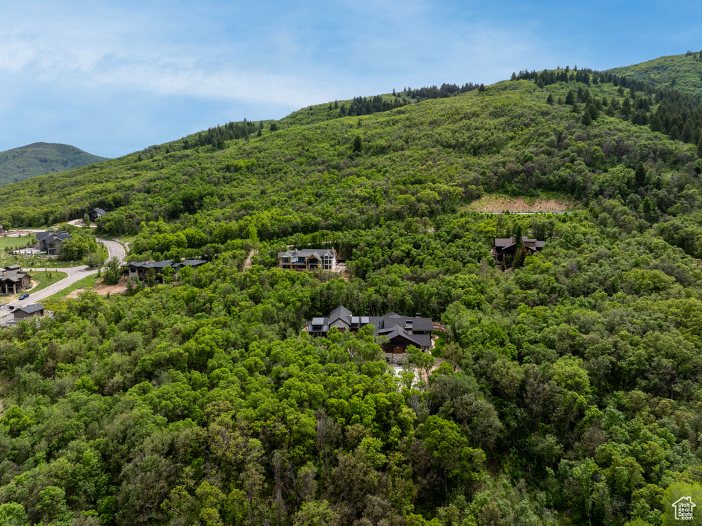 Aerial view of a heavily wooded area and a mountain backdrop