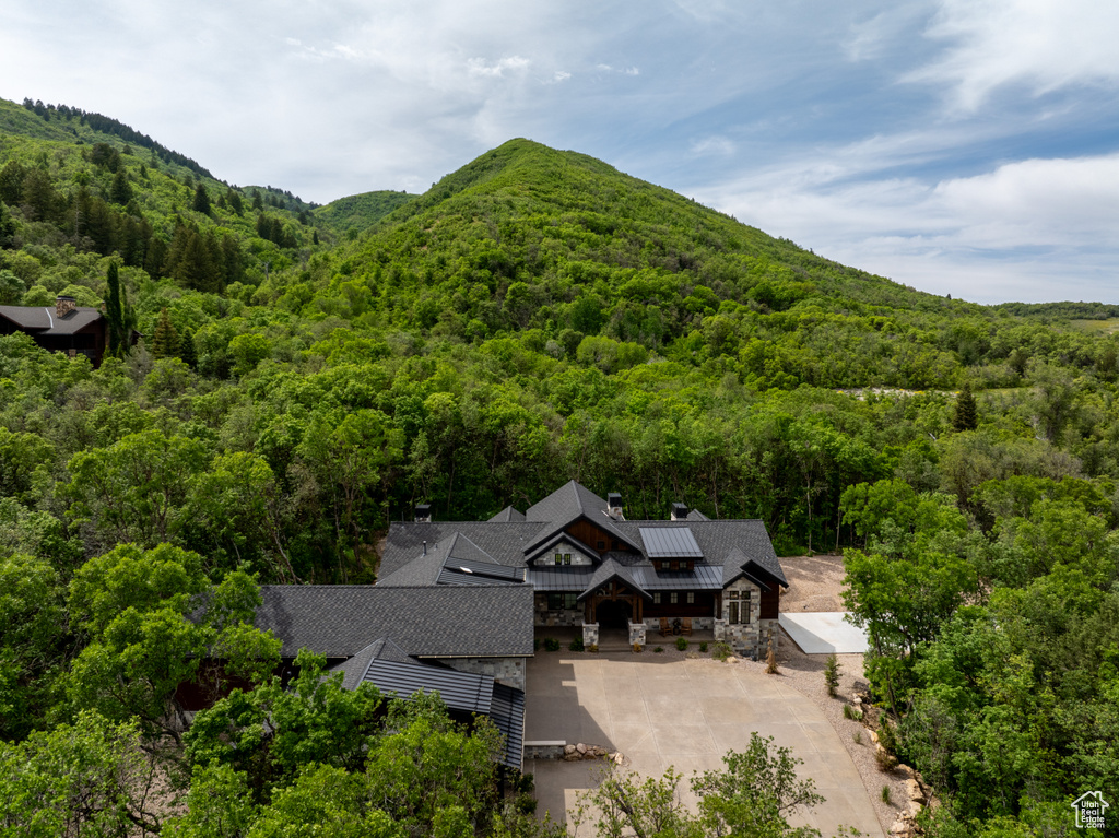 View of mountain background with a heavily wooded area